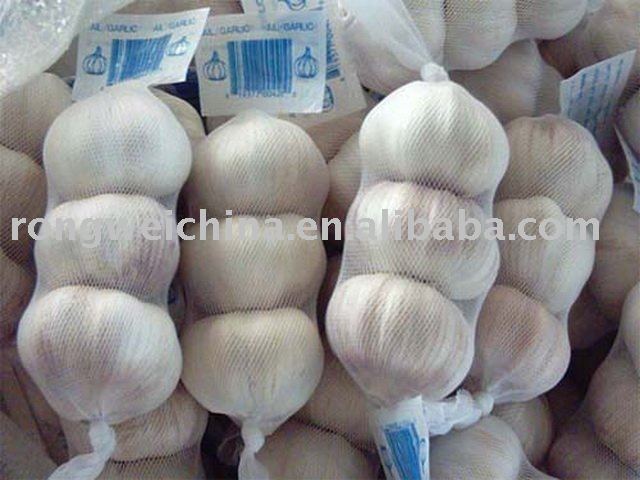 Normal  white garlic 3P retail packing