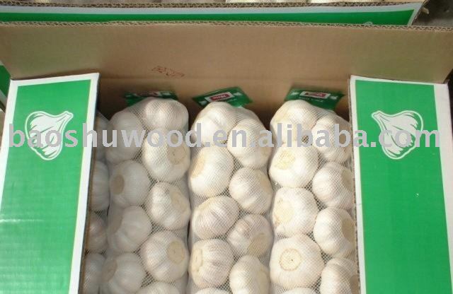 High Grade Pure White Garlic