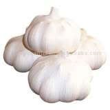 Premium Garlic Pure Garlic Garlic Huge Producer Indian Fine Garlic