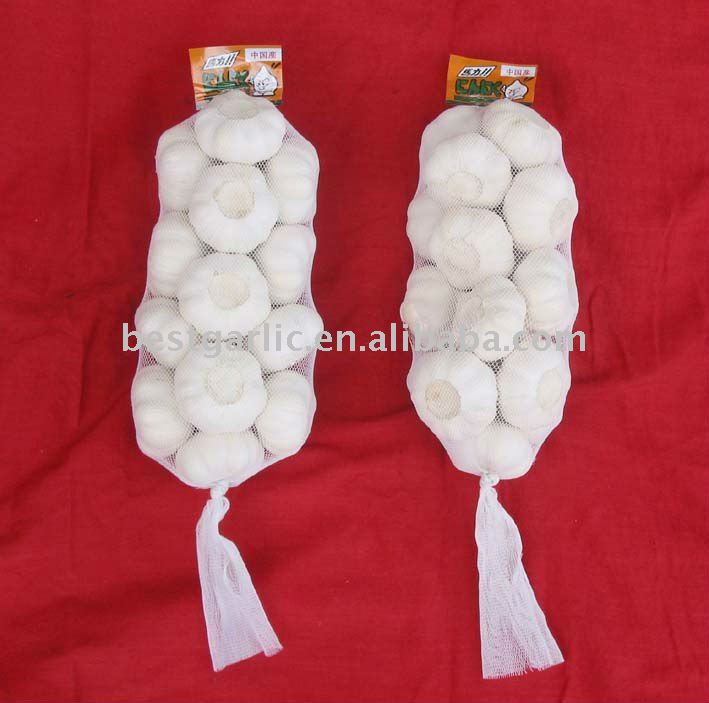 small packed normal/pure white fresh garlic1000g/mesh bag