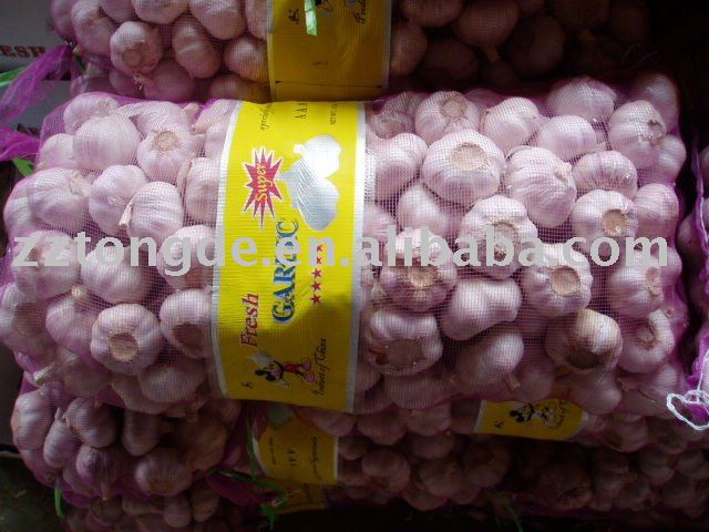 fresh garlic 2010