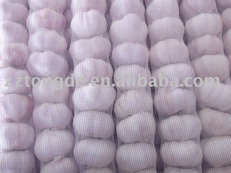 2010 normal white  garlic
