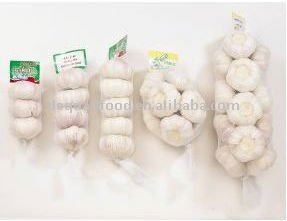 2011 crop snow white garlic