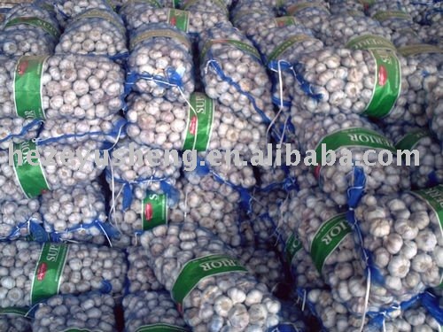  fresh   garlic  in  mesh   bag  2011 new crops