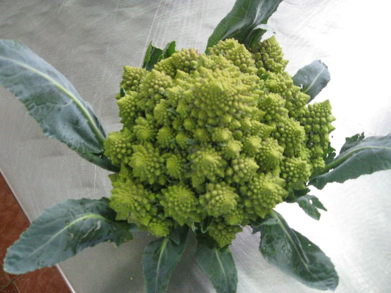 IQF cauliflower