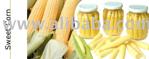 Sweet  Corn 