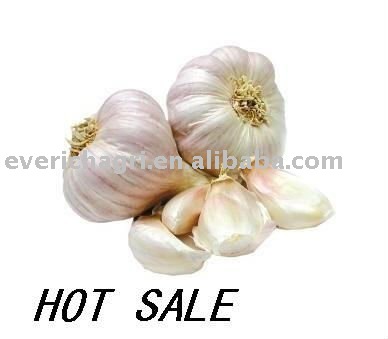 2011 Fresh Garlics from China