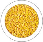  Frozen   Shell ed Corn