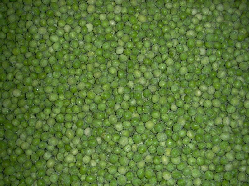 Frozen Green Peas,China price supplier - 21food