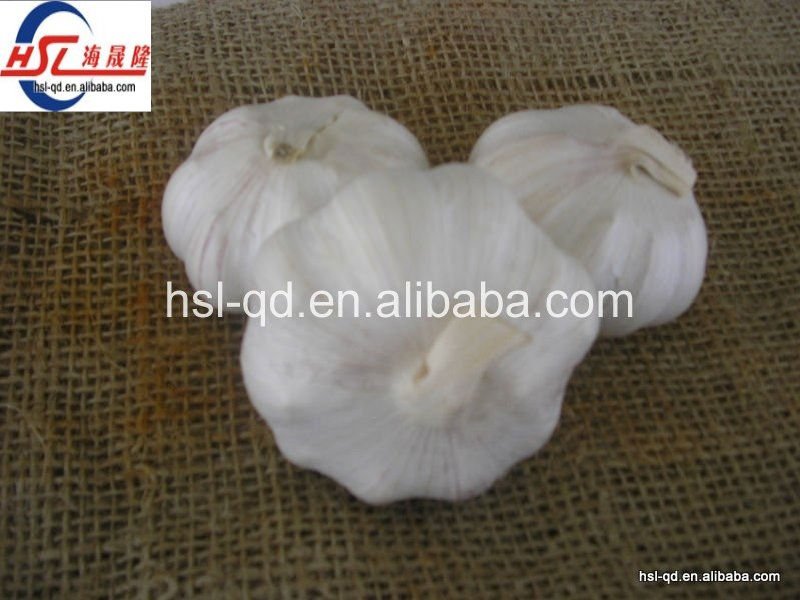 fresh normal white garlic