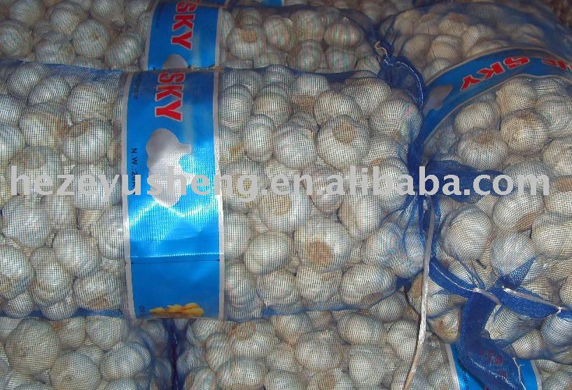 fresh garlic supplier from China 4-6.5cm