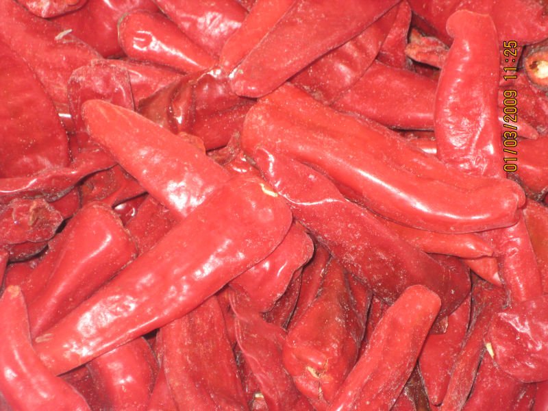 Frozen Red Chilli China Price Supplier 21food