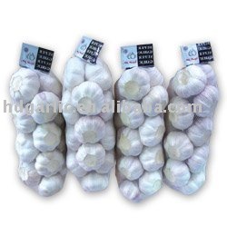fresh normal garlic 2011 crop
