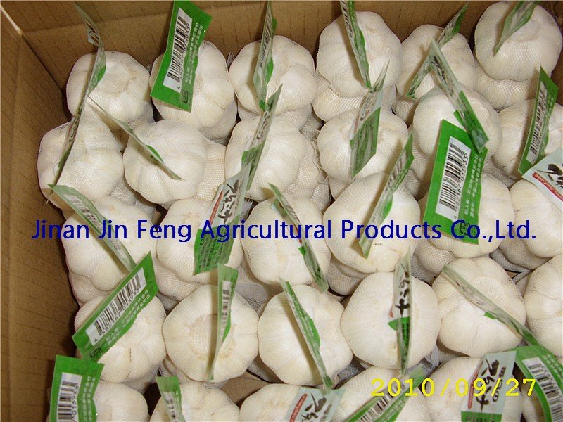 jinxiang pure white garlic