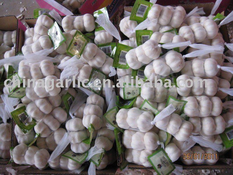Export to Canada 2011 crop Fresh Pure White Garlic in 3P/bag