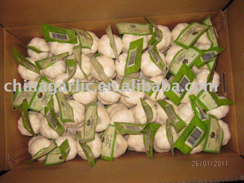  Export  to  Canada  2011 crop Fresh Normal White Garlic in 3P/bag