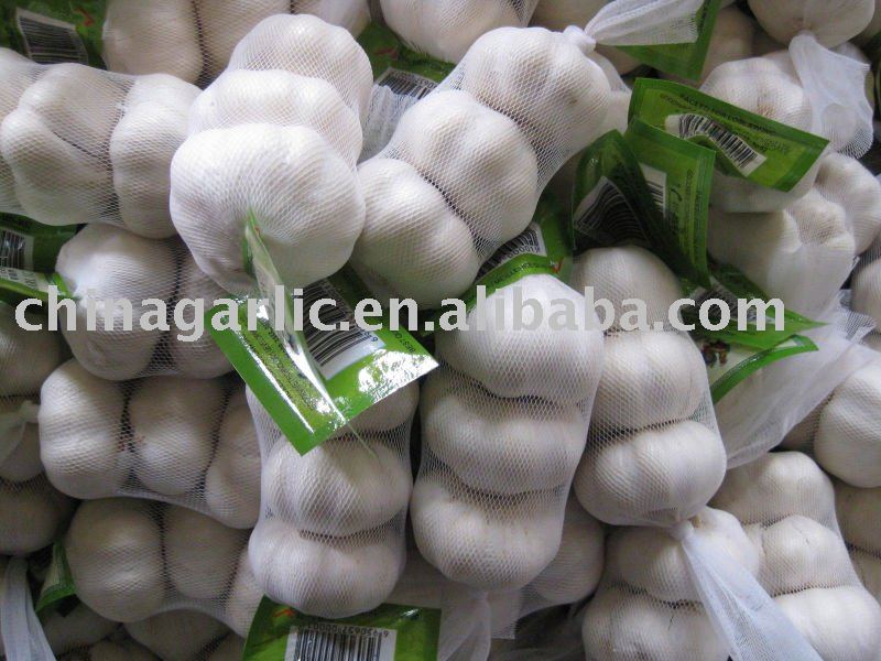 export to Canada 2011 crop  Fresh Pure White Garlic in 3P/bag