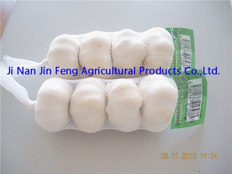  jinxiang   white   garlic 