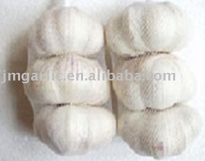 fresh chinese garlic