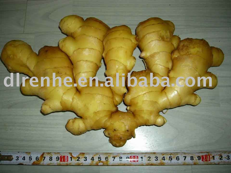 fresh nature ginger