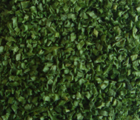 green bell pepper