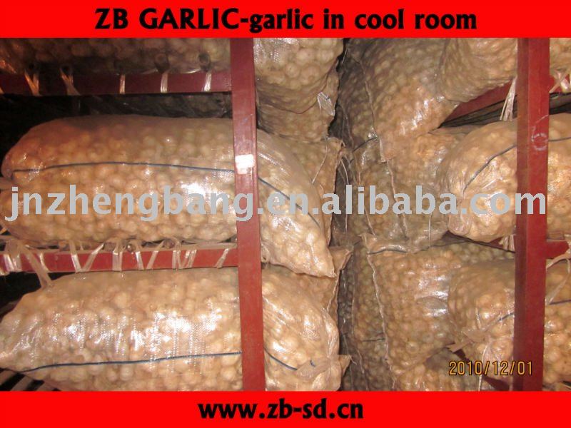  cold   store  garlic