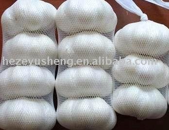 white garlic in small packing approved by haccp