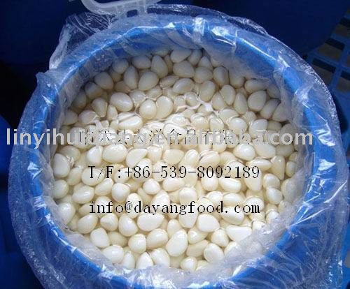 Peeled garlic cloves in brine 2011