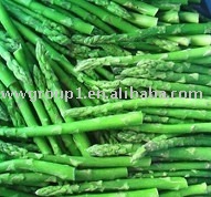 IQF Green  Asparagus   frozen   vegetable s