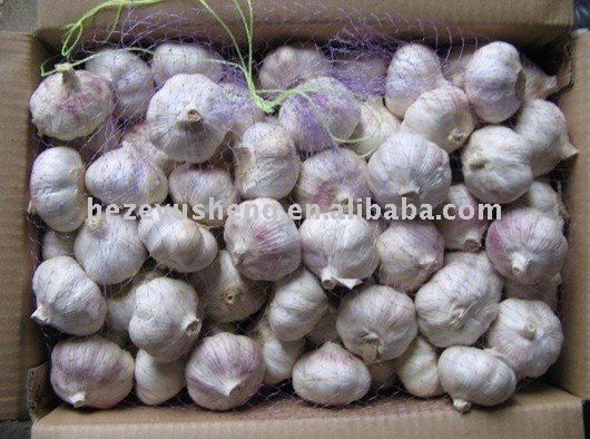 fresh garlic small packing in mesh bag