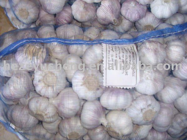 fresh  garlic   price   2011 