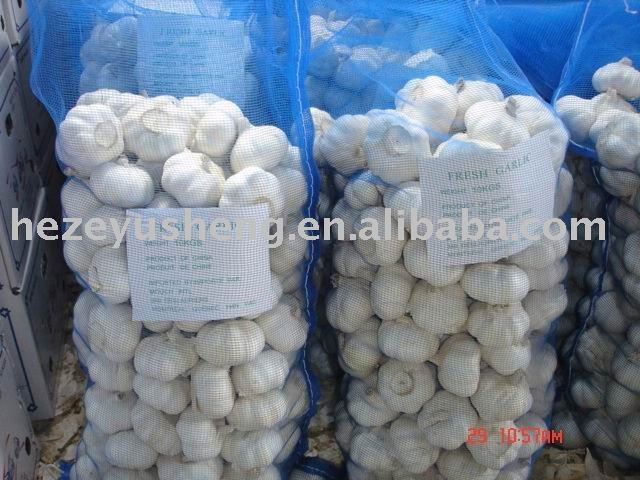 China fresh pure garlic from Shandong