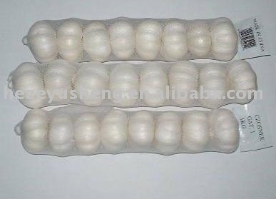 2011 fresh pure garlic new crop