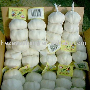 china fresh pure garlic