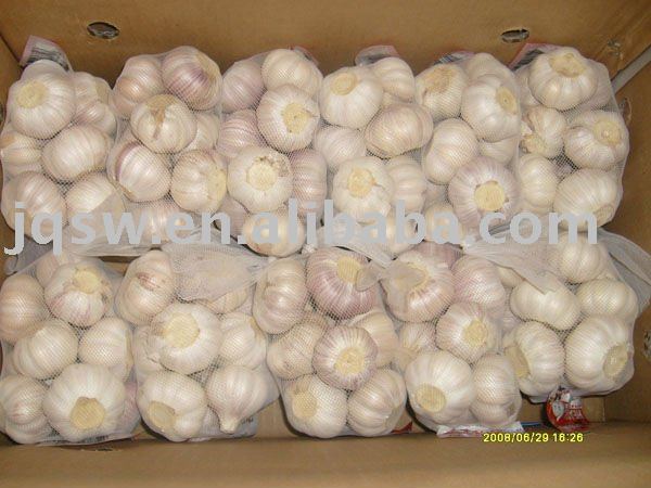 fresh garlic(in mesh bags ,4.5cm,normal white)
