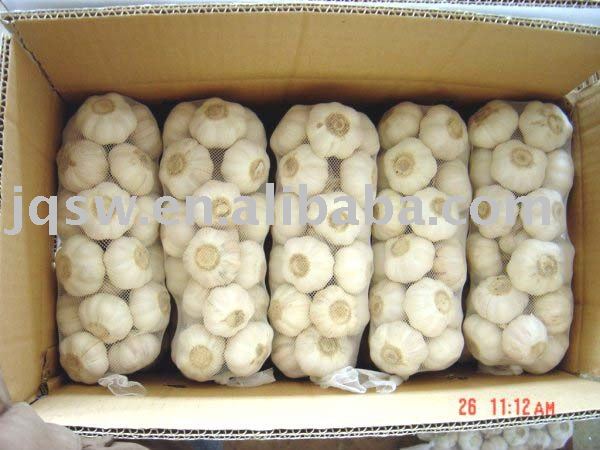 fresh garlic(in mesh bags ,4.5cm,pure white)