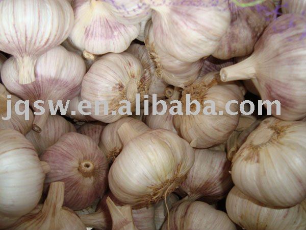 fresh garlic(in mesh bags ,5.0cm,normal white)