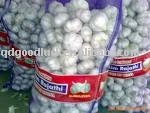  2011   New   Garlic 