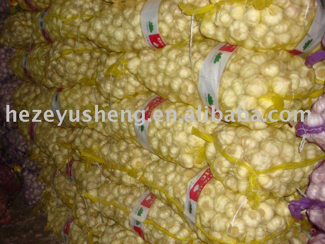 red garlic 20kg mesh bag garlic for Bangladesh