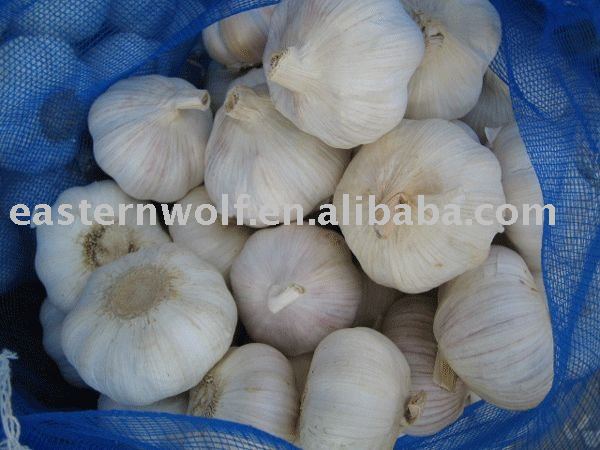 Fresh white garlic in 10kg mesh bag package .MOQ:1*20`FCL