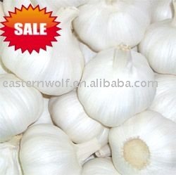 Fresh pure white garlic in 10kg mesh bag package .MOQ:1*20`FCL