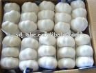 2011 new fresh garlic ,hot!!!!!