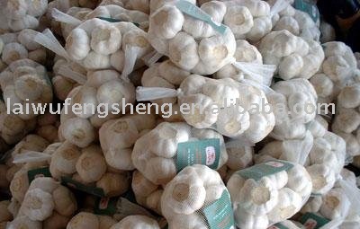 white garlic 500g