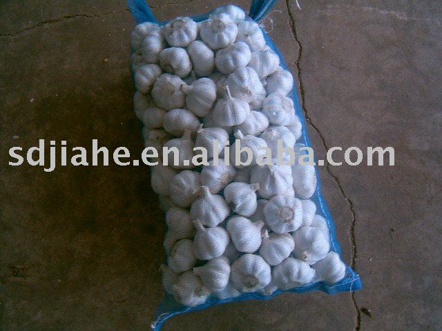 fresh white garlic