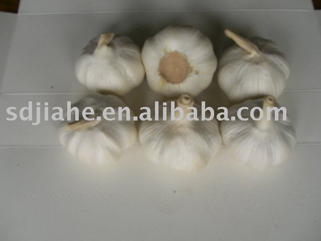 white garlic
