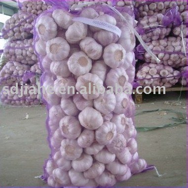 2011   crop   garlic 