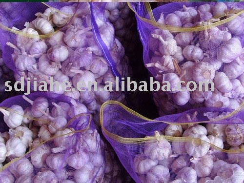 2011 garlic