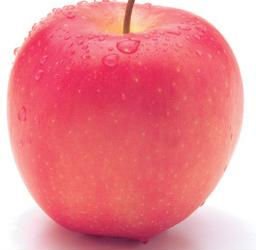 2010 chinese  fresh   yantai   apple 