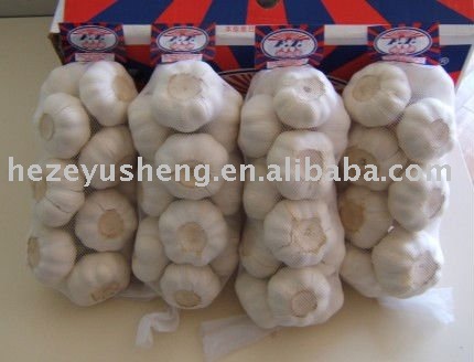 chinese garlic producers