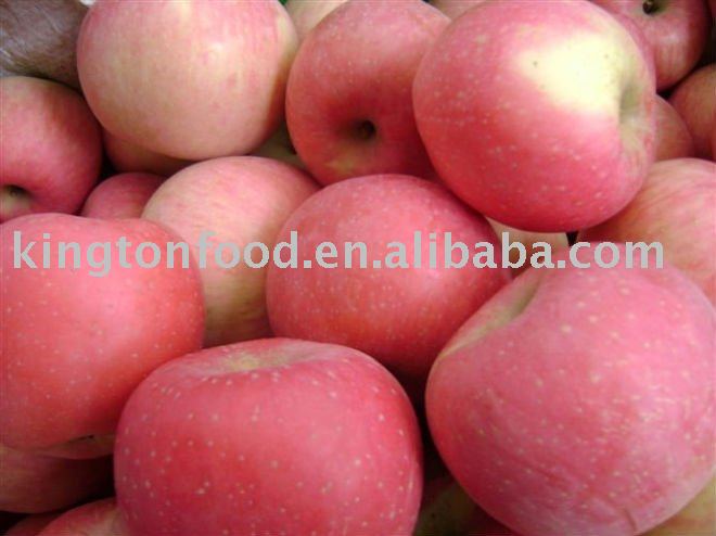 2010 new apple